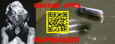 ешки Новодвинск
