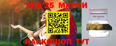 ешки Новодвинск