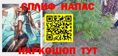 ешки Новодвинск