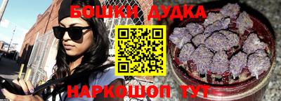 ешки Новодвинск